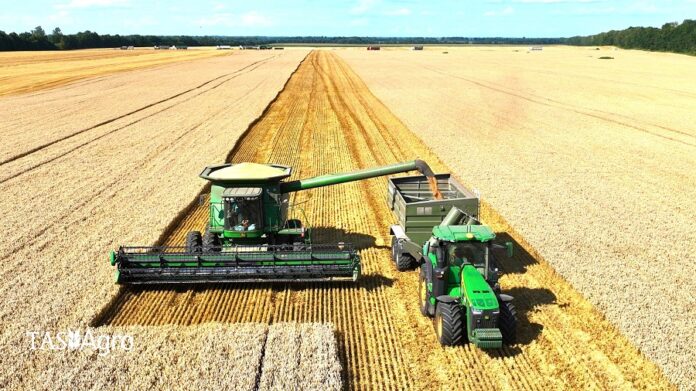 У ТАС Агро розповіли про результати ранніх хернових жнив-2025