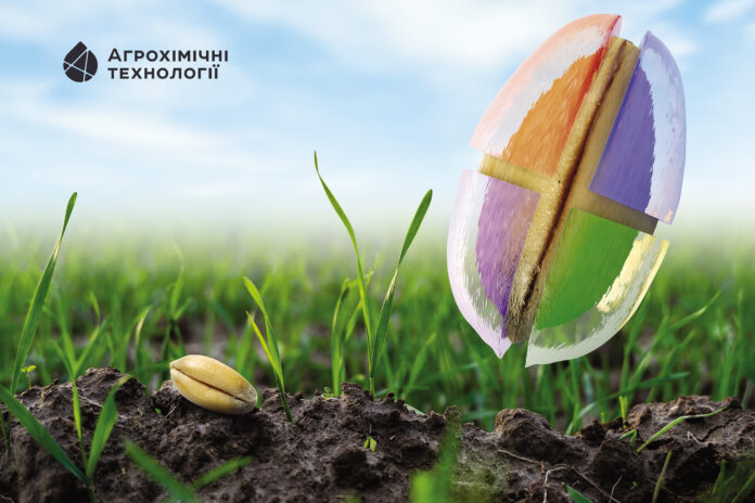 Комплексний захист насіння та сходів пшениці у 2025 році: рекомендації експертів