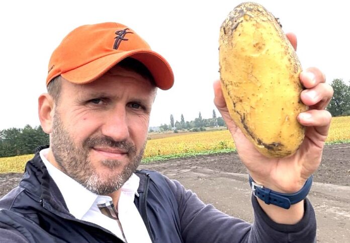 Як отримати високий урожай картоплі поради аграрія