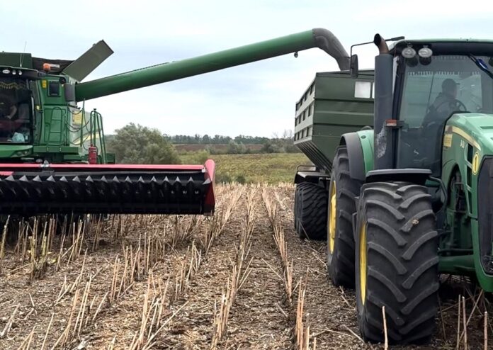 У господарствах Alebor Group зібрали соняшник з високою урожайністю