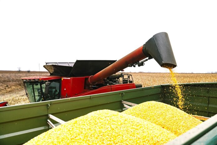 Українські фермери отримують максимальні врожаї за підтримки Corteva