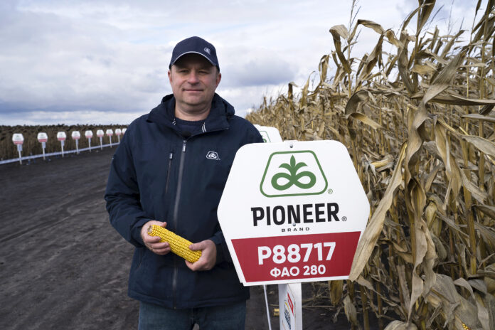 Кукурудза Pioneer®: гібриди для вашого успіху в 2026 році