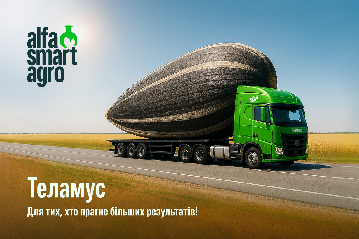 Теламус
