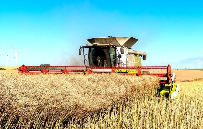 Ціни на ріпак продовжують змінюватися напередодні початку збиральної кампанії Ціни на ріпак продовжують змінюватися напередодні початку збиральної кампанії