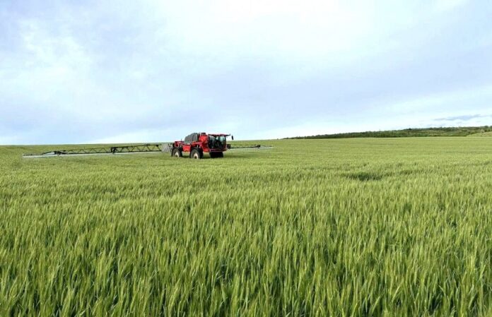Як у Tekom Agro Group проводять фунгіцидний захист озимої пшениці Як у Tekom Agro Group проводять фунгіцидний захист озимої пшениці