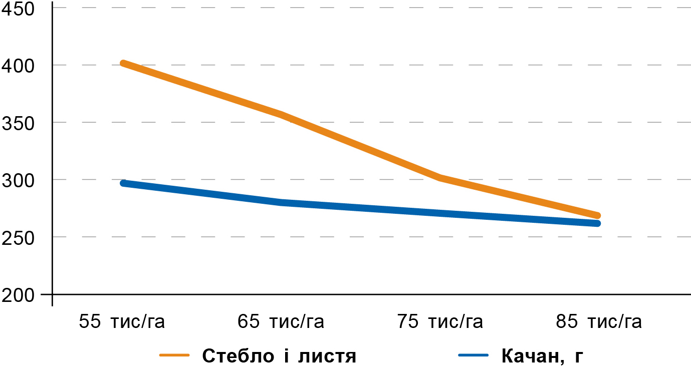 Графік 3. Зміна маси рослини залежно від густоти (АМАРОС) Графік 3. Зміна маси рослини залежно від густоти (АМАРОС)