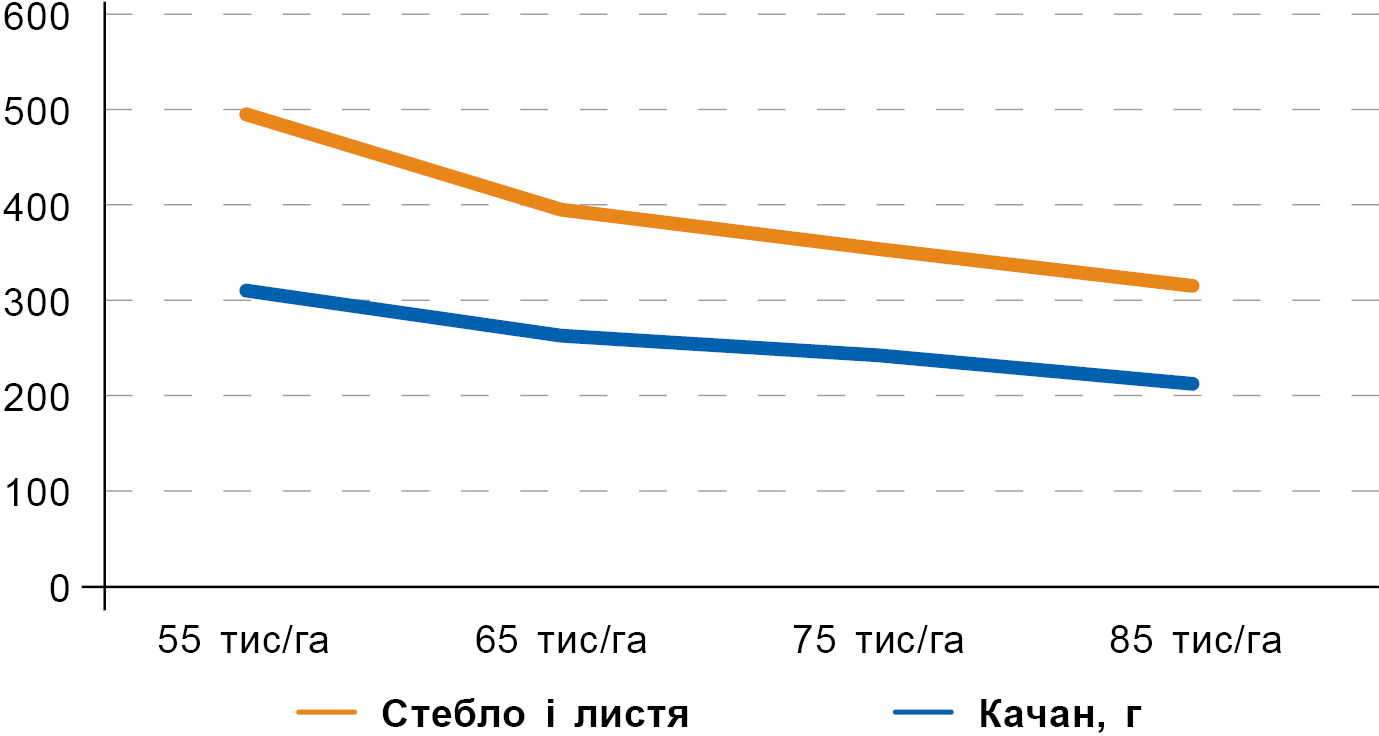 Графік 5. Зміна маси рослини залежно від густоти (БІГБІТ) Графік 5. Зміна маси рослини залежно від густоти (БІГБІТ)