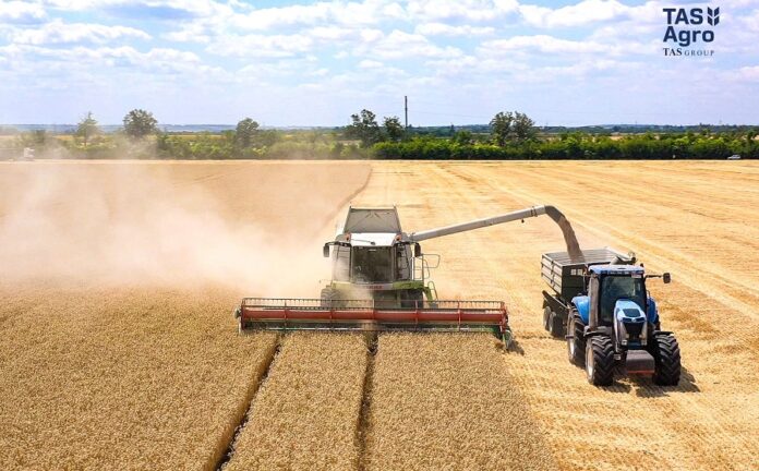 У ТАС Агро проаналізували результати жнив ранніх культур-2026