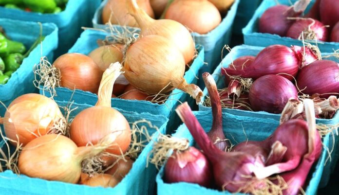 Українські виробники цибулі змінюють фасування та пакування продукції