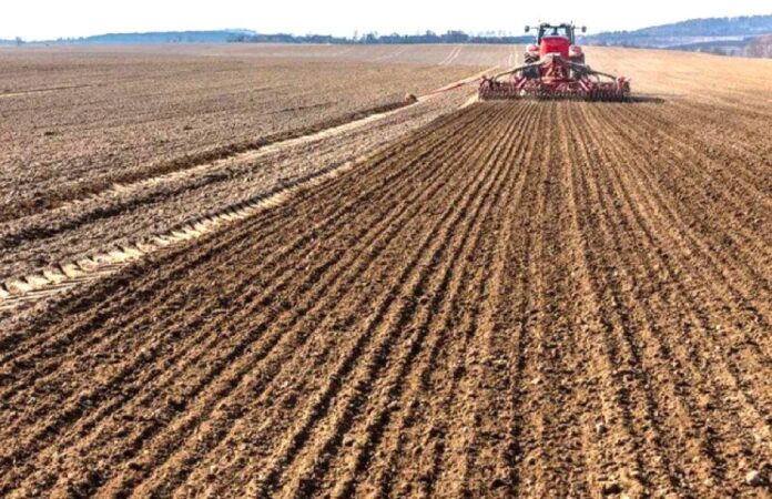 Посівні площі в Україні можуть скоротитися приблизно на 1 млн га