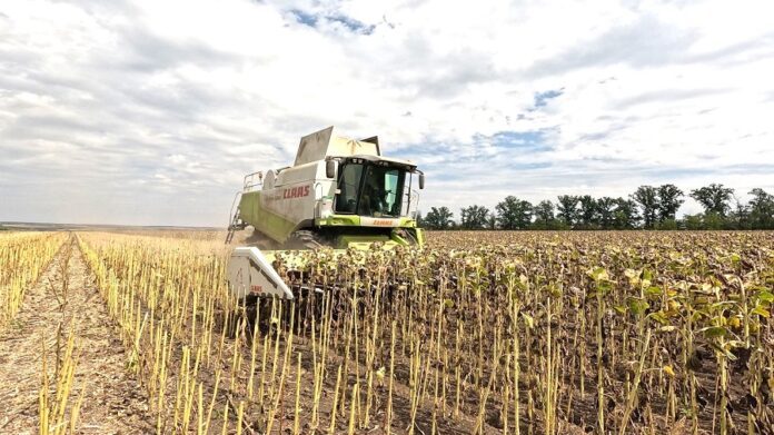 У KSG Agro розпочали збирання соняшнику особливості